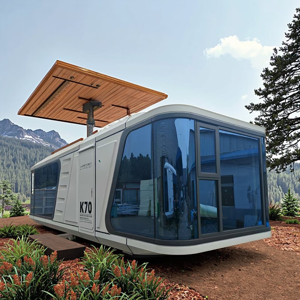 Capsule view